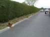 DSC01259.JPG