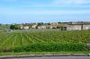 DSC_0017.jpg