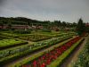 DSC00850.JPG